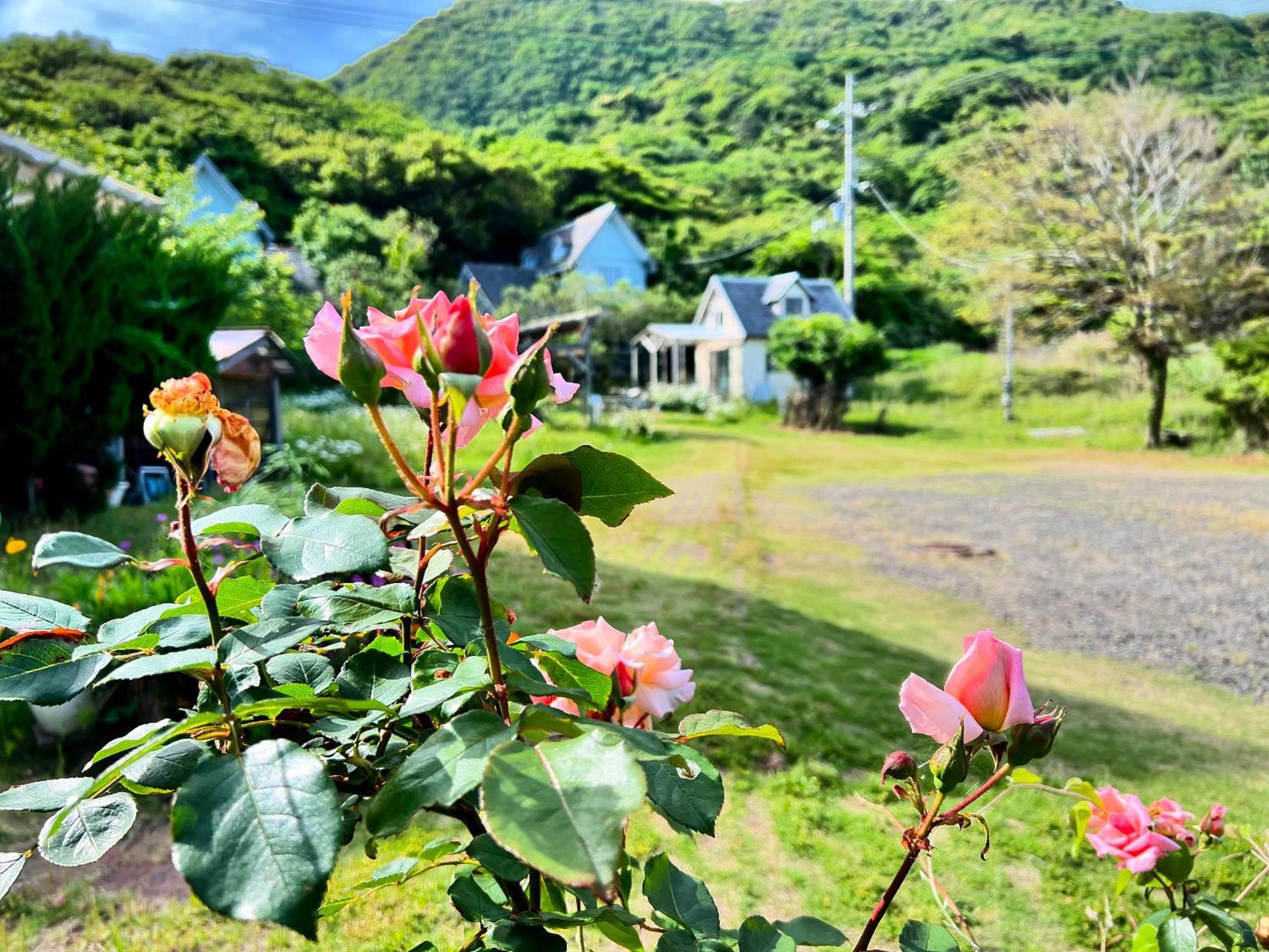 Holiday home レンタルコテージサントロペ